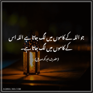 Abu Bakar Siddique Quotes