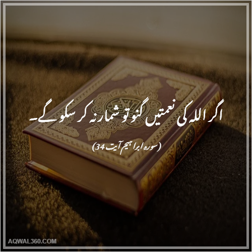 Quran Quotes in Urdu