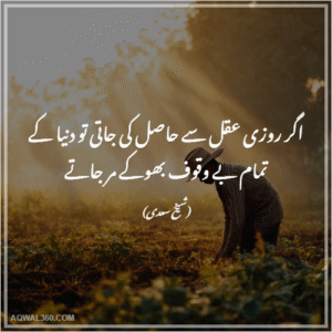Shaikh Saadi Quotes in Urdu